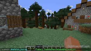 How to tame a skeleton horse & zombie horse / how to ride a skeleton horse & zombie horse in minecraft 1.10 , 1.11 1.12. How To Summon A Skeleton Horse In Minecraft