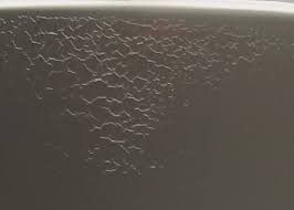 Check spelling or type a new query. Ternyata Ini Yang Sebabkan Cat Keriting Dalam Proses Pengecatan Gridoto Com