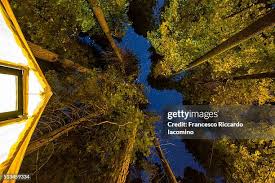 33 Yosemite Valley Lodge Stock Photos, High-Res Pictures, and Images