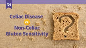 Celiac disease and obstetric complications: Celiac Disease Vs Gluten Intolerance Infographic Northwestern Medicine