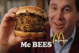 Adam Calandra's Instagram, Twitter & Facebook