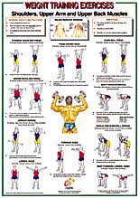 Shoulders Upper Arm Back Muscles Chart Shoulders Upper Arm