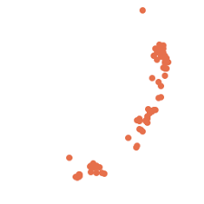 Image result for Pseudocolus schellenbergiae