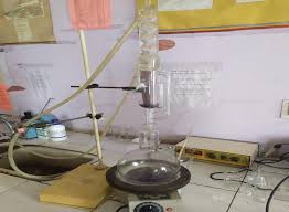 Image result for Clitoria kaessneri