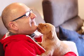 Dog Walker Marlow, Pet Sitter, Dog Boarding