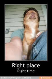 I Can Do Thing Social Media Malta Funny Selfies Forced Perspective Photography Bones Funny