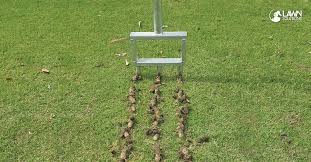 It looks like a garden fork with two sharp tines which measure around 9″ apart. Should I Core Aerate My Lawn Or Are Solid Tines Ok