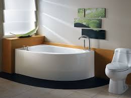 Corner tub shower combo ideas. Corner Bathtub Shower How To Choose The Best Ideas On Foter