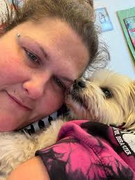 8 week female Morkie Daleville, IN