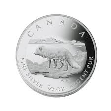 Image result for Arctic Silver 2004 1 Series