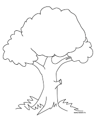 Free fall leaves and trees coloring pages. Kindergarten Fall Tree Coloring Pages