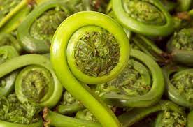 Whether you're looking for anthuriums, philodendrons, gingers, ferns, plumerias, bananas, exotic plants or weird plants, you can shop our. 20 Perennial Vegetables To Plant Once For Years Of Food Small Footprint Family