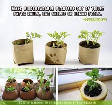 15 Amazing Gardening Tips Biodegradable Products Gardening Tips Easy Gardening Hacks