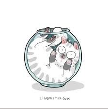 Pin By Belda Ozturk On Joking Cats Illustration Cat Drawing Cat Art