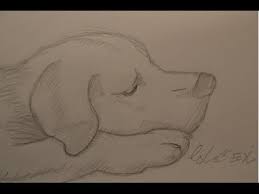 Ganz Einfach Zeichnen Lernen 20 Tiergesichter Youtube Einfach Ganz Lernen Tiergesichter Youtube Zeichnen Youtube Drawing Drawings Sketches