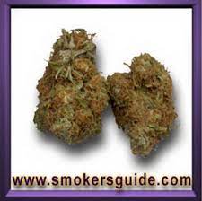 California Redbud Marijuana Purchased From Free World Bushdoc Review