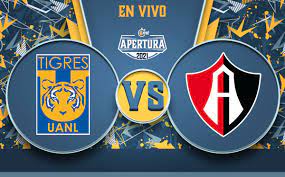 Mixed martial arts (bellator 262): Uulnflreiiciwm