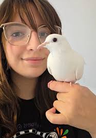 I recently rescued this pigeon and am trying to identify this band but am  not having any luck. I'm located in WA state and there are many wedding  venues in the area