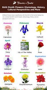 Birth Month Flowers Etymology History Cultural Perspectives And More Month Flowers Birth Month Flowers Flower Birth Month