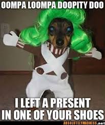 Funny Dogs Dog Costumes Funny Dog Halloween Costumes Funny Funny Dogs