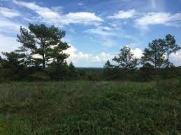 There is land for sale from the owner which further facilitates the process of buying the land. 551 Sardis Road Kimberly Al 35091 Loopnet Com