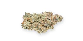 Phoenix Cannabis Co S Animal Mints Marijuana Strain