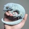 Handling is an essential part of owning a pet snake. Https Encrypted Tbn0 Gstatic Com Images Q Tbn And9gcslnkhp7rif0j0tbin7bywrv5erxxhbahc Kyhbovuw Qzk1oa0 Usqp Cau