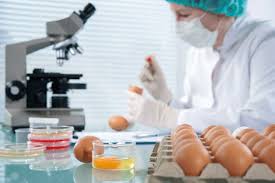 Search and apply for the leading food safety job offers. Archives Best Food Science Jobs