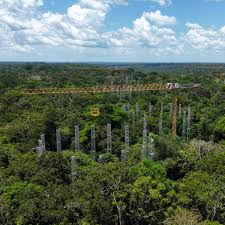 Feldversuch: CO2-Duschen im Amazonas