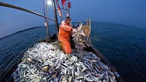 Durch klebeheftung) mehrseitiger vordrucke zu vermeiden ist und alle seiten gut lesbar und für mindestens 15 jahre haltbar sein müssen. Nachrichten Aus Oldenburg Und Ostfriesland Ndr De Nachrichten Niedersachsen Studio Oldenburg