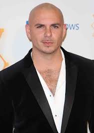 Pitbull Pitbull The Singer Pitbulls Pitbull Rapper