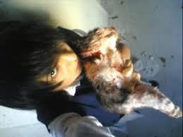 Kedi Kesen Satanist Kiz Allah Islah Etsin
