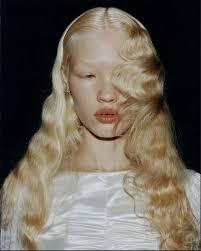 Dennis Lamers (nav8d)