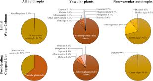 plant detritus is selectively consumed by estuarine copepods