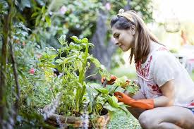 How To Plan A Garden To Feed A Family