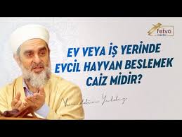 Kafeste Guvercin Muhabbet Kusu Vs Beslemek Caiz Midir Youtube