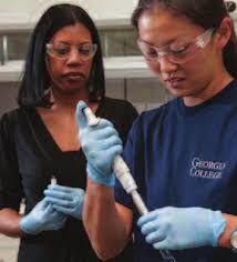 COLLEGE OF ARTS AND SCIENCES