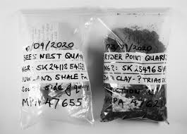 Check spelling or type a new query. A Guide To Preparation Protocols In Palynology