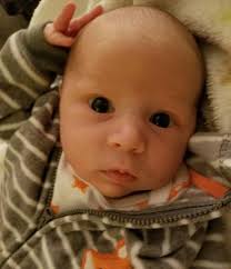 THE WELLS FAMILY ASSOCIATION, INC. 212 Spradlin Street, Auxier, KY 41602  Telephone: 606-889-0600 Email: kphoward@bellsouth.n