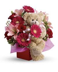 Flowers and teddy bear delivery melbourne. Stylish Celebration Flower Delivery Melbourne Same Day Florist Delivery Society Flowers