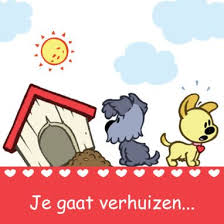 woezel en pip bij hun schuine huis greetz kaarten huis kopen afbeeldingen