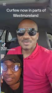 Camille's Jamaican Jerk Seasoning Party Decor and Food Review