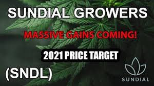 Stock screener for investors and traders, financial visualizations. Sundial Growers Equity Informer