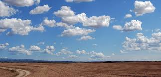 A NOTE FROM TASHA AND OUR ADMINISTRATIVE TEAM