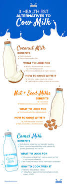 But some say that drinking another mammal's milk is unnecessary, unnatural, even unhealthy. 3 Healthiest Alternatives To Cow Milk Coconut Camel And Nut Milks