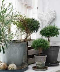 Vintage French Soul Topfe Garten Deko Pflanzideen Pflanzen