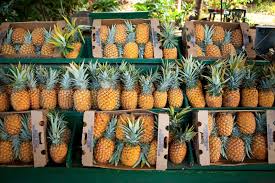 You'll find our white pineapples in products made around the island. 14 Fun Facts About Hawaiian Pineapples Origin History Pizza Hawaii