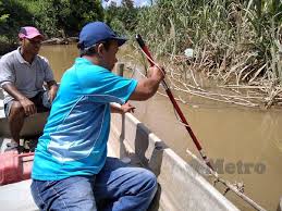 Explore tweets of pejabat perikanan negeri johor @dof_johor on twitter. Kilang Sawit Punca Pencemaran Sungai Sembrong
