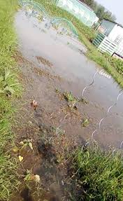 Les Jardins Familiaux De Saint Just Des L Observateur De Beauvais Oise Facebook