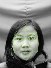 An example of a pointing picture.